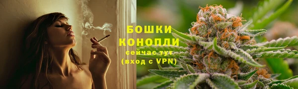 сатива Баксан
