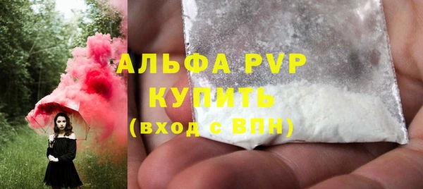 сатива Баксан