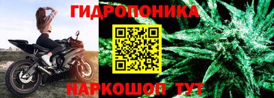 бошки Волгодонск