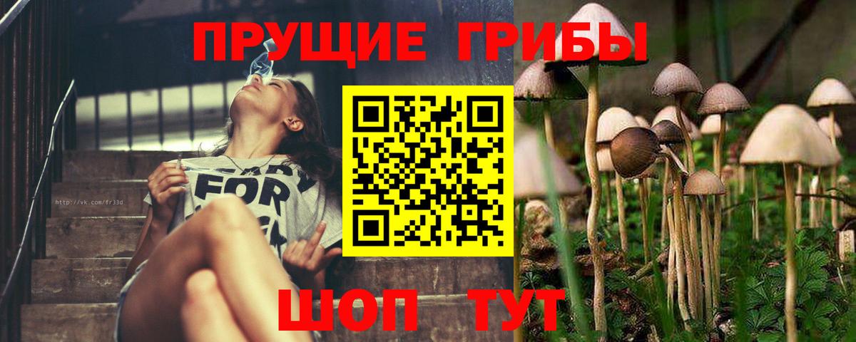 Галлюциногенные грибы Cubensis  Галлюциногенные грибы Magic Shrooms  Соль-Илецк  Вход с VPN 
