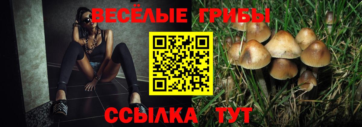 Псилоцибиновые грибы Magic Shrooms Соль-Илецк